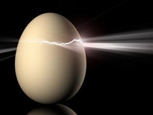 egg