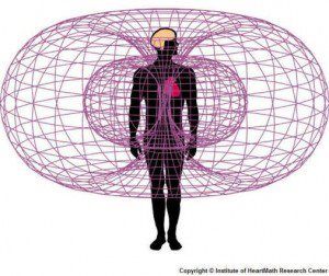 human torus