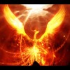 Phoenix-bird-1-