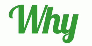 Why_500x250